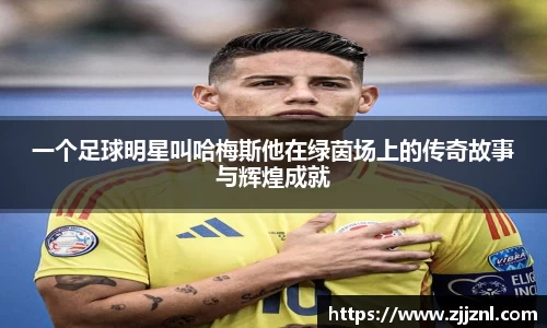 金年会金字招牌信誉至上